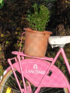 Pink Fahrrad